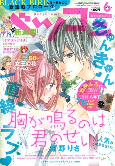 Cover of No. 6, 2013