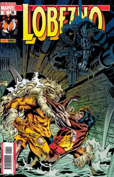 Cover of Issue #15