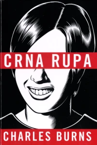 Crna rupa