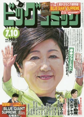 Cover of No. 13, 2017