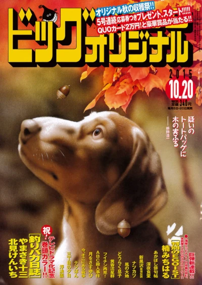 Cover of No. 20, 2015