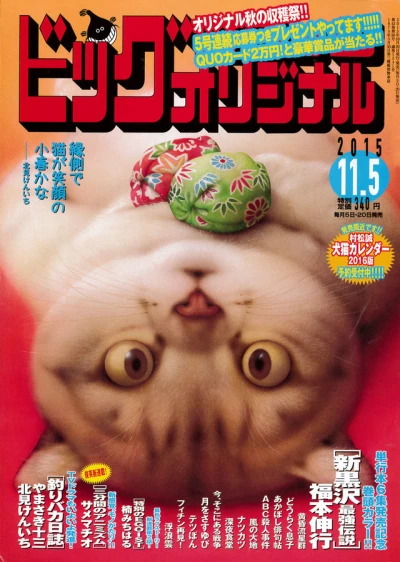 Cover of No. 21, 2015