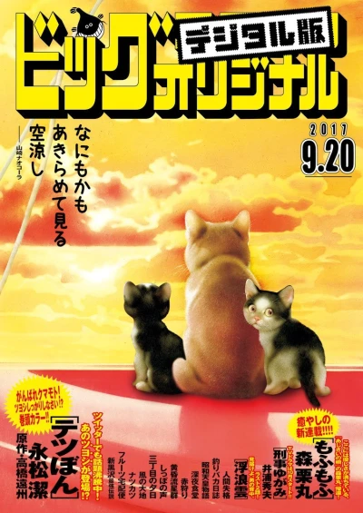 Cover of No. 18, 2017