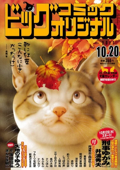 Cover of No. 20, 2017