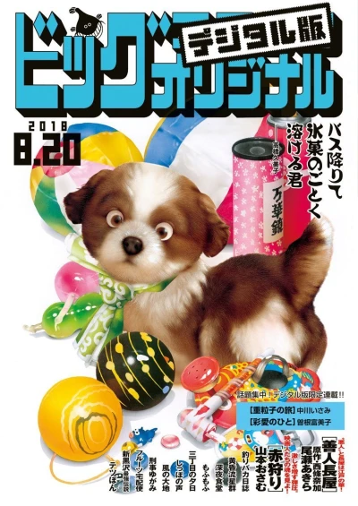 Cover of No. 16, 2018