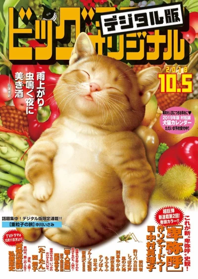 Cover of No. 19, 2018