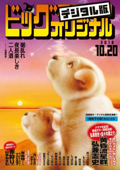 Cover of No. 20, 2018