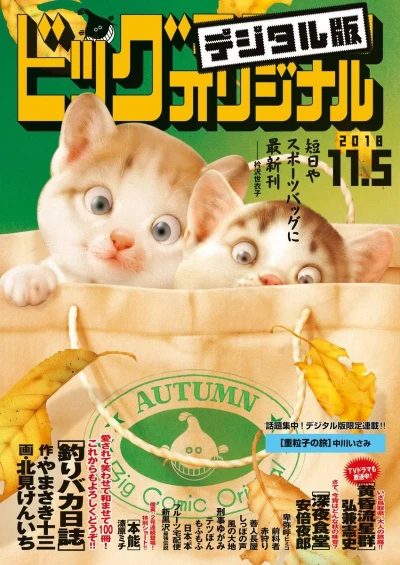 Cover of No. 21, 2018
