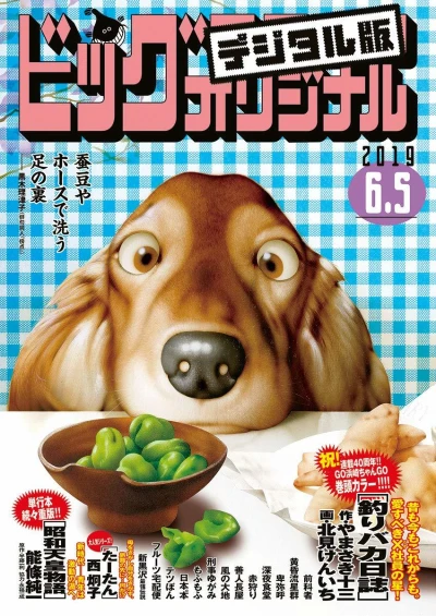 Cover of No. 11, 2019