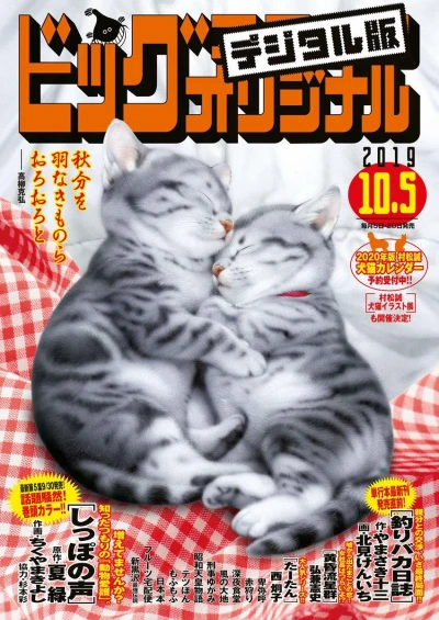 Cover of No. 19, 2019