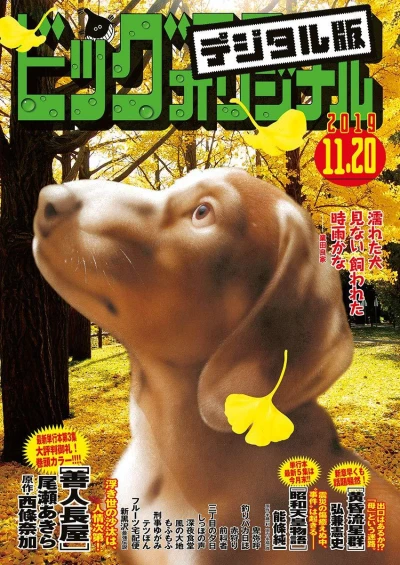 Cover of No. 22, 2019