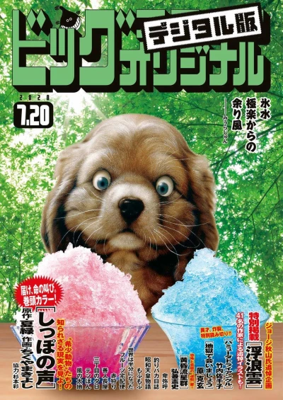 Cover of No. 14, 2020