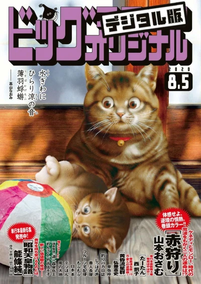 Cover of No. 15, 2020