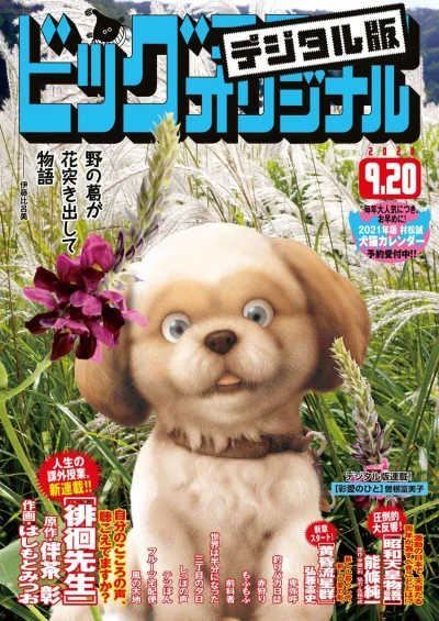 Cover of No. 18, 2020