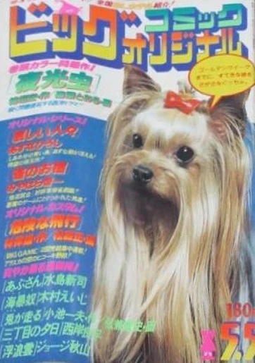 Cover of No. 9, 1979