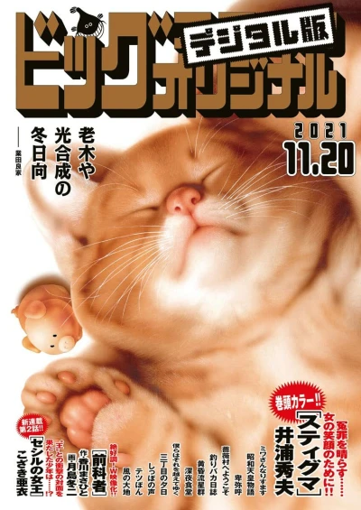 Cover of No. 22, 2021
