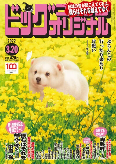 Cover of No. 6, 2022