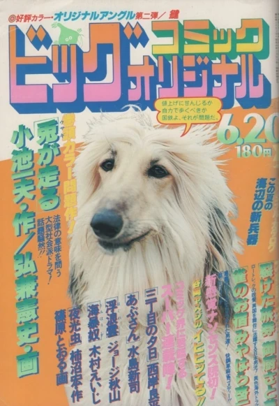 Cover of No. 12, 1979