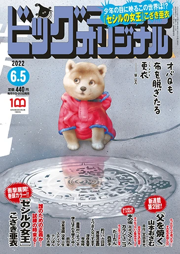 Cover of No. 11, 2022