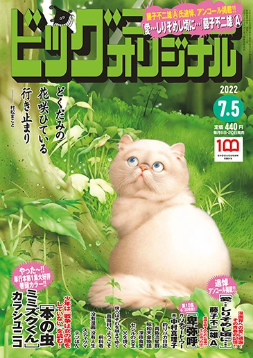 Cover of No. 13, 2022