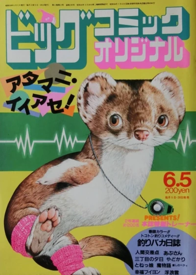 Cover of No. 11, 1984