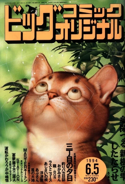 Cover of No. 11, 1994