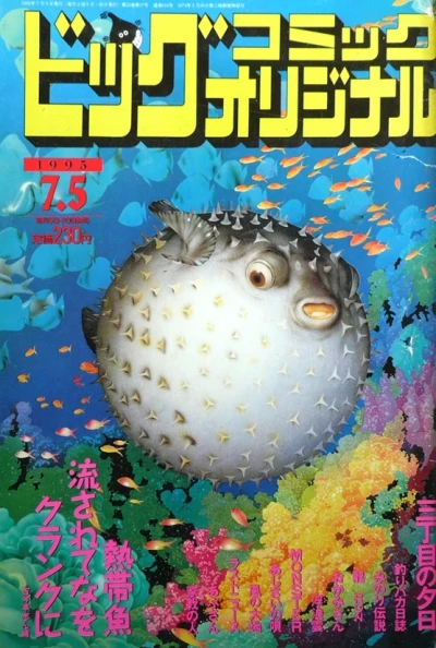 Cover of No. 13, 1995