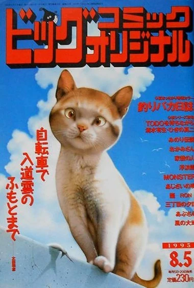 Cover of No. 15, 1995