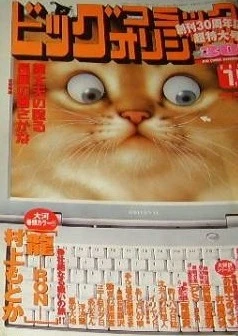 Cover of No. 13, 2004