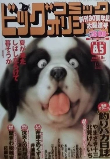 Cover of No. 15, 2004