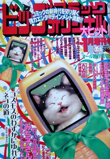 Cover of Volume #916