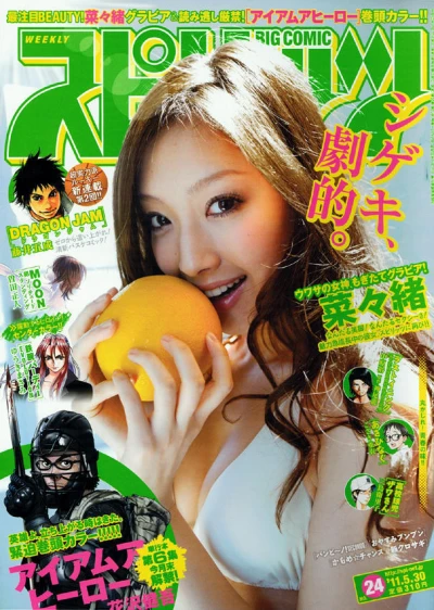 Cover of No. 24, 2011