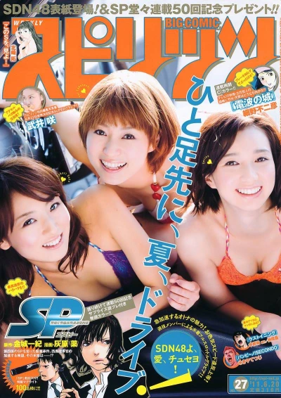 Cover of No. 27, 2011