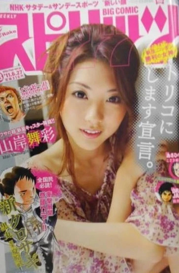 Cover of No. 28, 2011