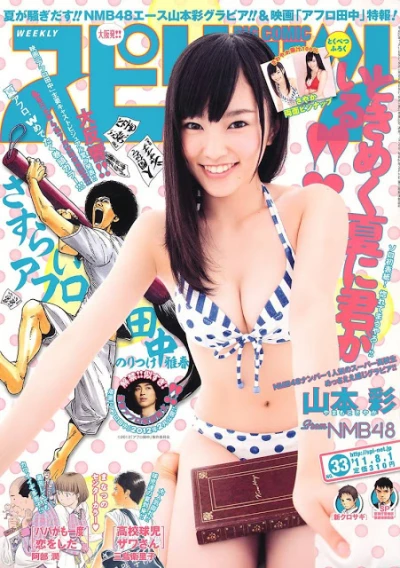Cover of No. 33, 2011
