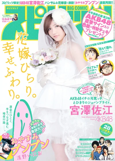 Cover of No. 28, 2012