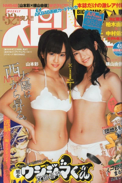 Cover of No. 45, 2012
