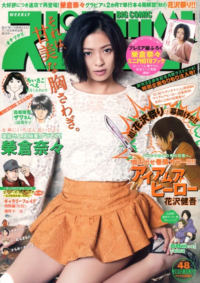 Cover of No. 48, 2012