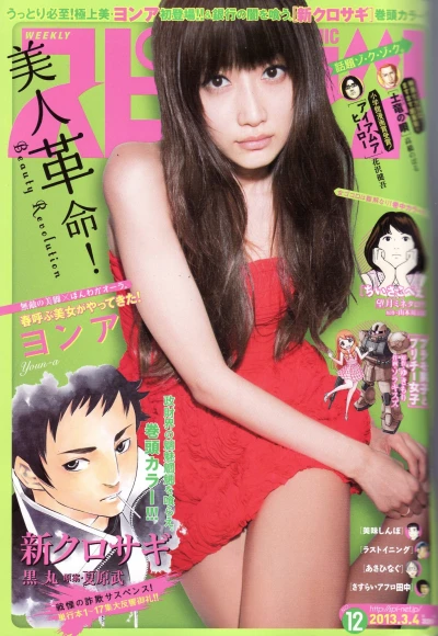 Cover of No. 12, 2013