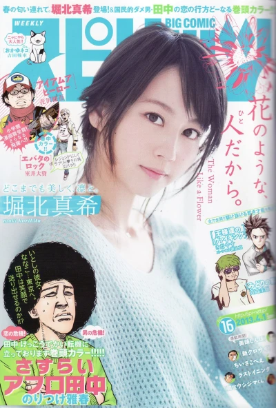 Cover of No. 16, 2013