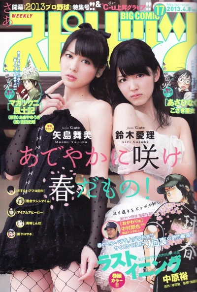 Cover of No. 17, 2013