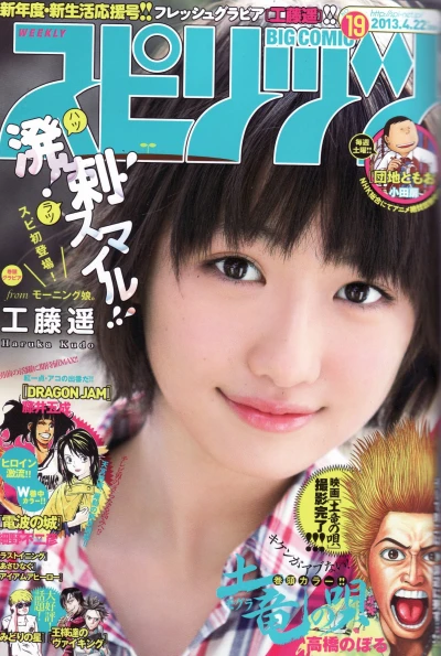 Cover of No. 19, 2013