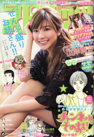 Cover of No. 22-23, 2013