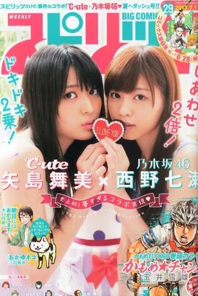 Cover of No. 29, 2013