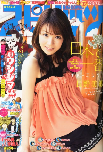 Cover of No. 32, 2013