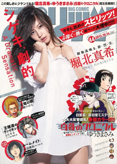 Cover of No. 44, 2013
