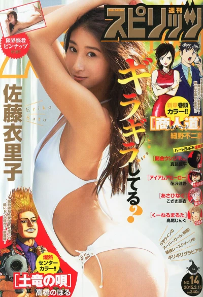 Cover of No. 14, 2015