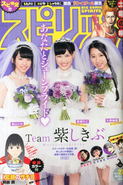 Cover of No. 27, 2015