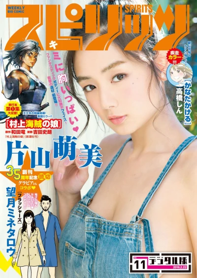 Cover of No. 11, 2016