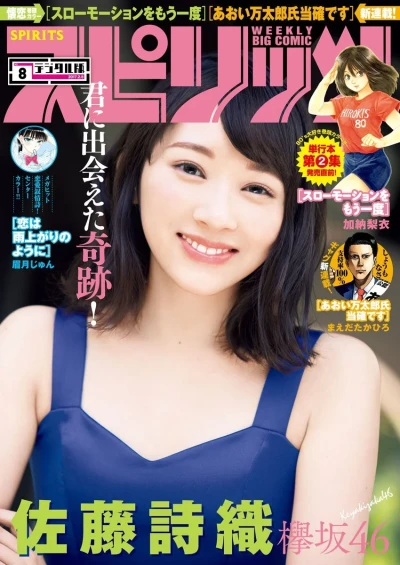 Cover of No. 8, 2017